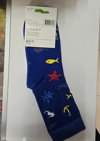 Erkek Çocuk Mavi Renkli Çorap - Görsel 2