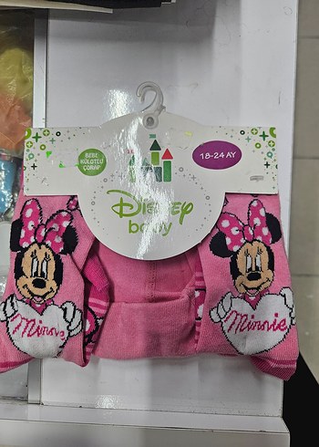 Walt Disney World 18-24 Ay