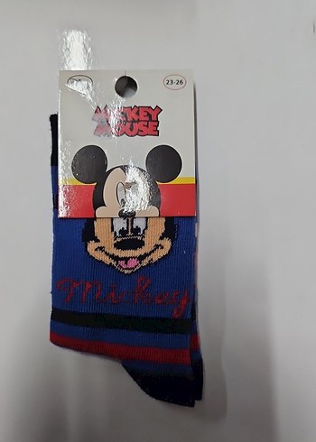 Walt Disney World 24