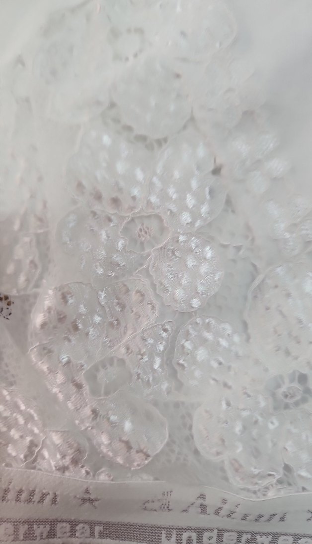 Beyaz Desenli Kız Çocuk Alıştırma Sütyeni - Görsel 2