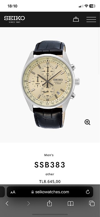 SEIKO ERKEK SAAT