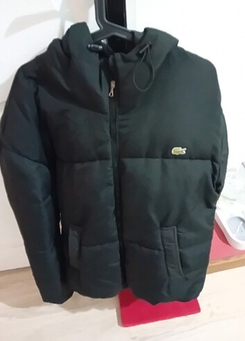 Lacoste Şişme mont/Erkek/ L/ 5000TL/Lacoste/Orijinal