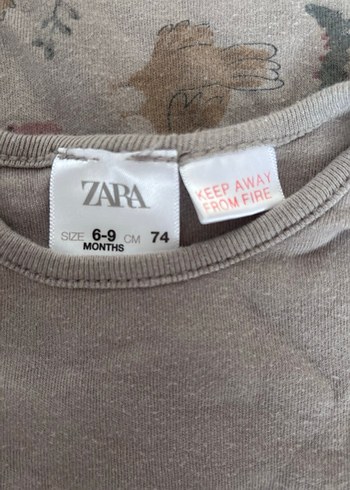 Zara uzun Kollu, Düz Renk Bebek Body Seti - Görsel 2