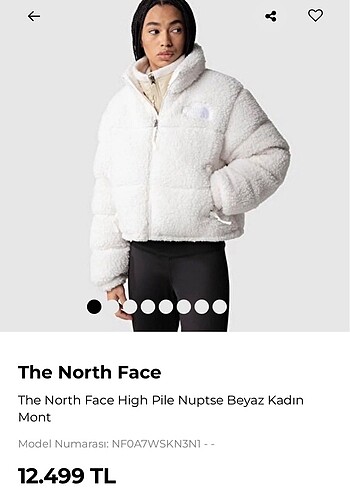 the north face pelus mont