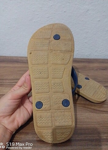 Diğer terlik 