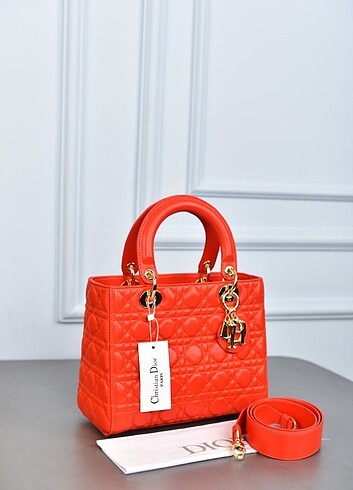 Beden pembe Renk Christian Dior Layd