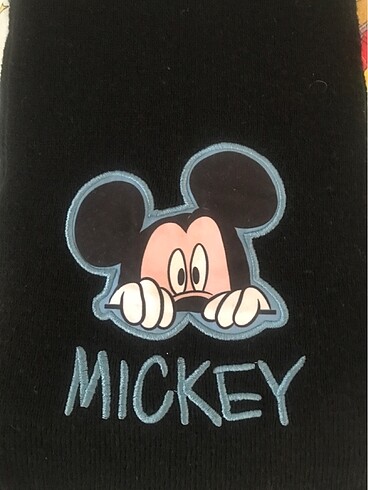Walt Disney World Çocuk Atkı