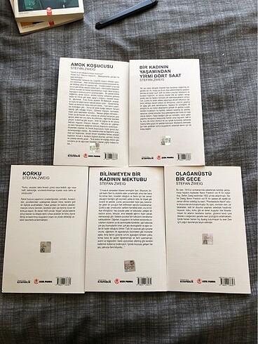 OLAĞAN ÜSTÜ BİR GECE | BİR KADININ YAŞAMINDAN YİRMİ DÖRT SAAT | - Görsel 2