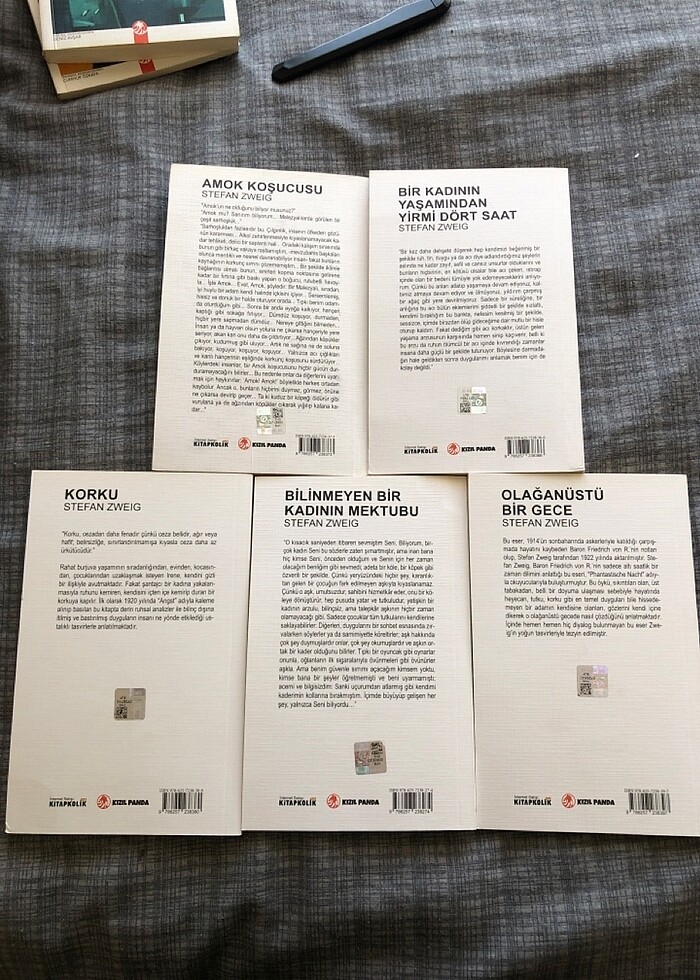 OLAĞAN ÜSTÜ BİR GECE | BİR KADININ YAŞAMINDAN YİRMİ DÖRT SAAT | - Görsel 2