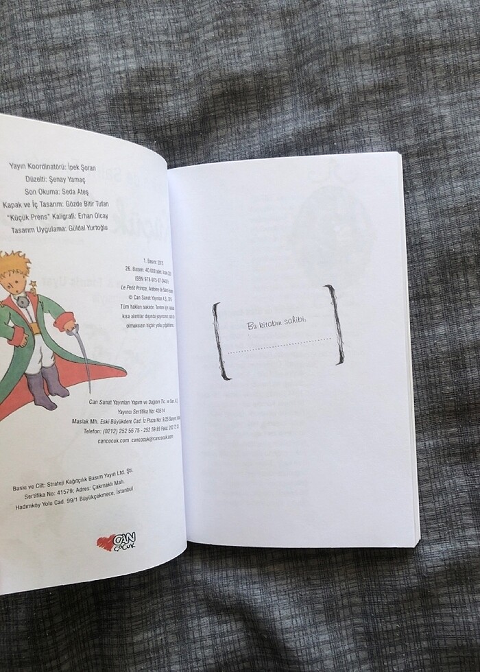 Küçük prens - Görsel 3