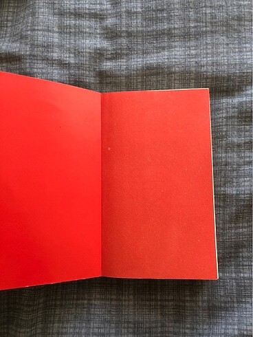 George Orwell 1984 - Görsel 3