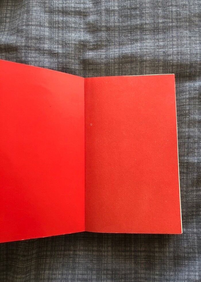 George Orwell 1984 - Görsel 3