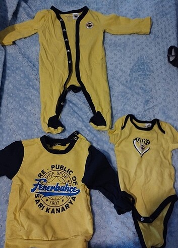 Fenerbahçe takım