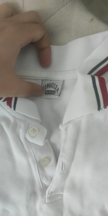 Uzun kollu polo yaka 