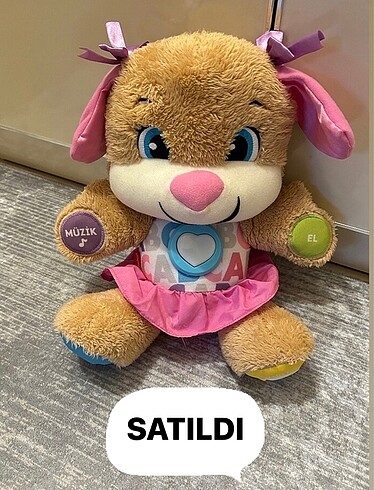 Eğitici köpekçik