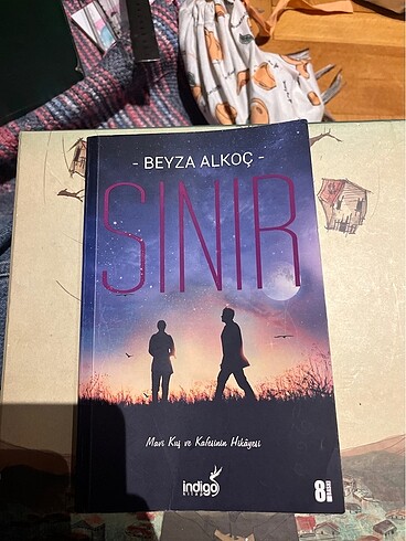 Sınır