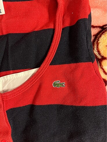 Lacoste Lacost sweat