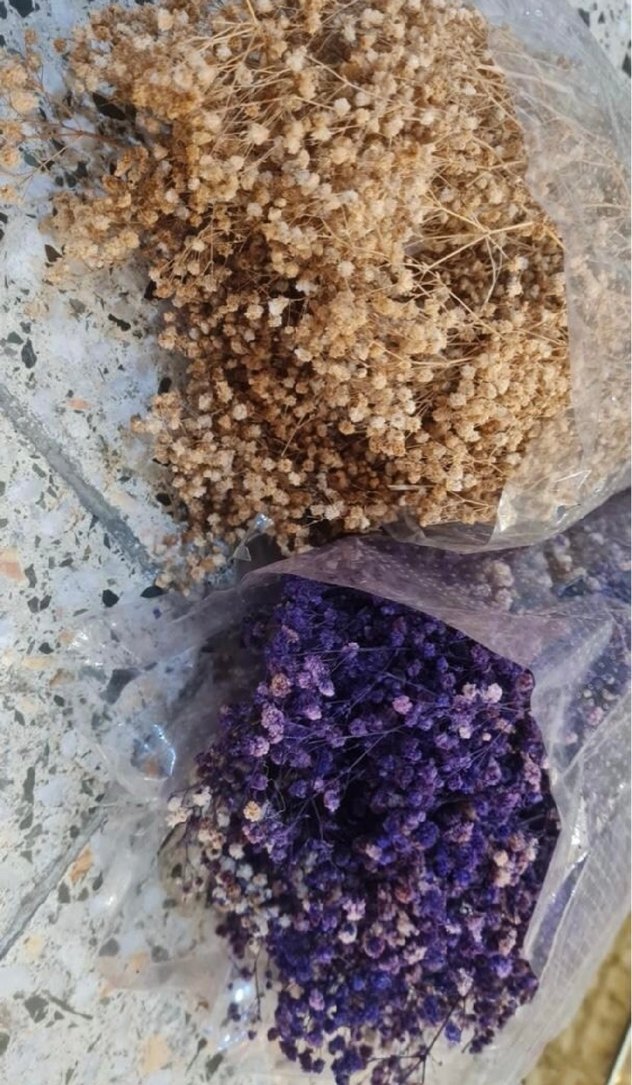 ŞOKLANMIŞ CİPSO ÇİÇEK - Görsel 3