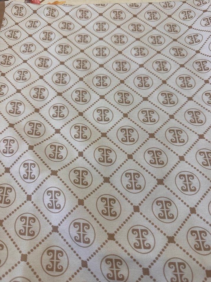 Bej Desenli Kadın Şal - Görsel 3