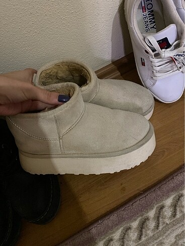 37 Beden Ugg bot