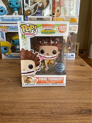 Funko pop Donnie Thorberry