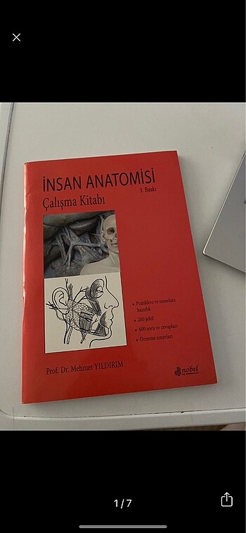 İnsan Anatomisi Çalışma Kitabı