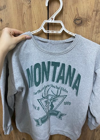 Kadın Gri Baskılı Uzun Kollu Sweatshirt - Görsel 2