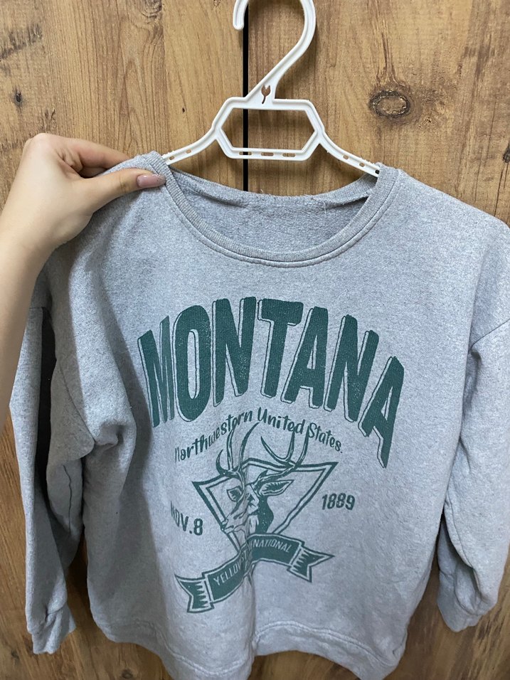 Kadın Gri Baskılı Uzun Kollu Sweatshirt - Görsel 2