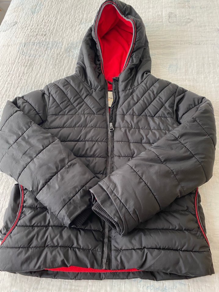 Erkek Çocuk Gri Fermuarlı Kapüşonlu Mont - Görsel 3