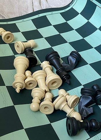 Satranç takımı 