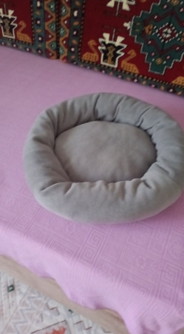 Gri kedi minderi sifir paraya ihtiyacım var satıyorum - Görsel 3