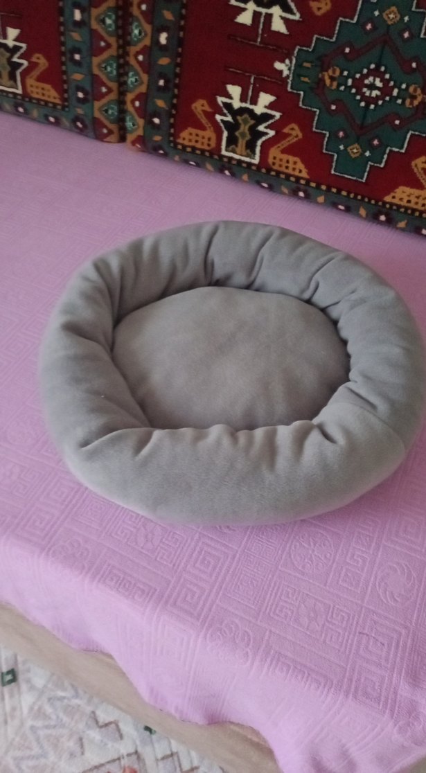 Gri kedi minderi sifir paraya ihtiyacım var satıyorum - Görsel 4