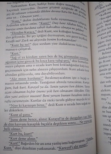 Beden Renk Siyam kış güneşi ciltli
