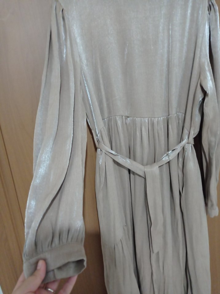 Bej Parlak Pilili Uzun Cepli Abiye Elbise - Görsel 3