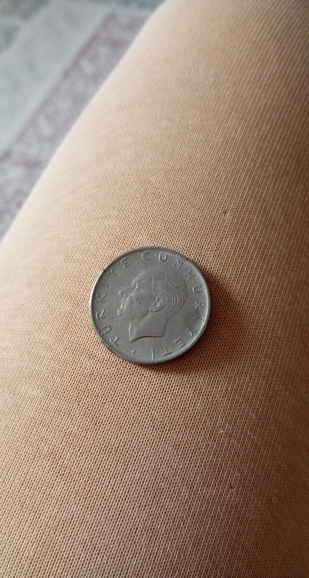 Gri Erkek Rozeti ,arka yüzü ters - Görsel 3