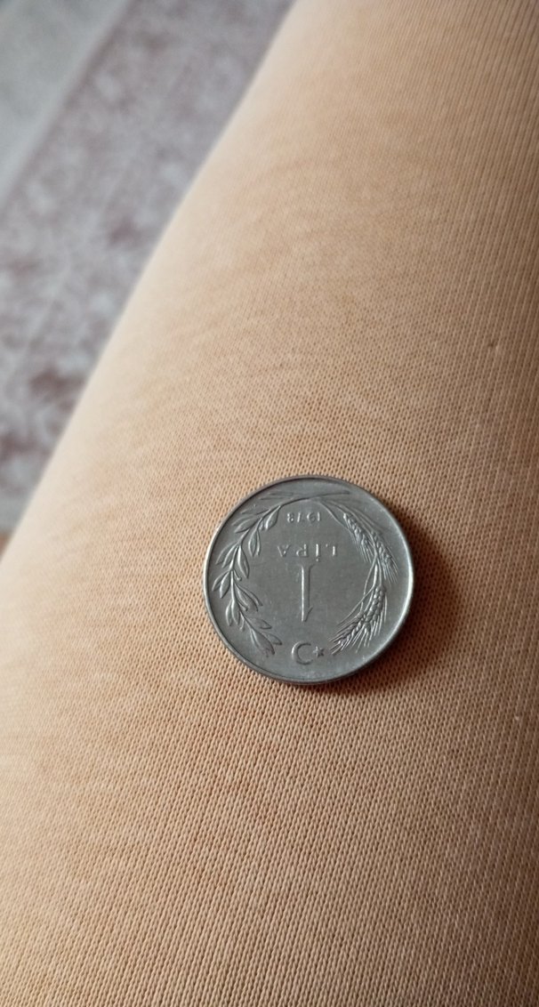 Gri Erkek Rozeti ,arka yüzü ters - Görsel 2