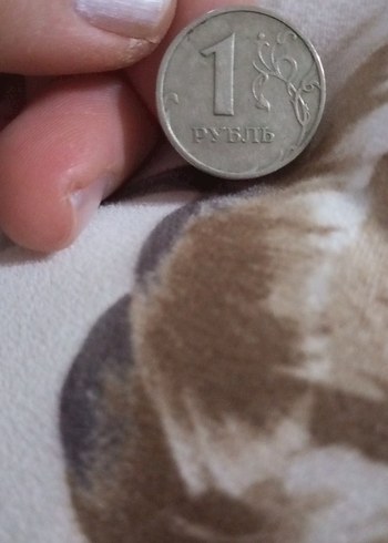 Erkek rozet - Görsel 6