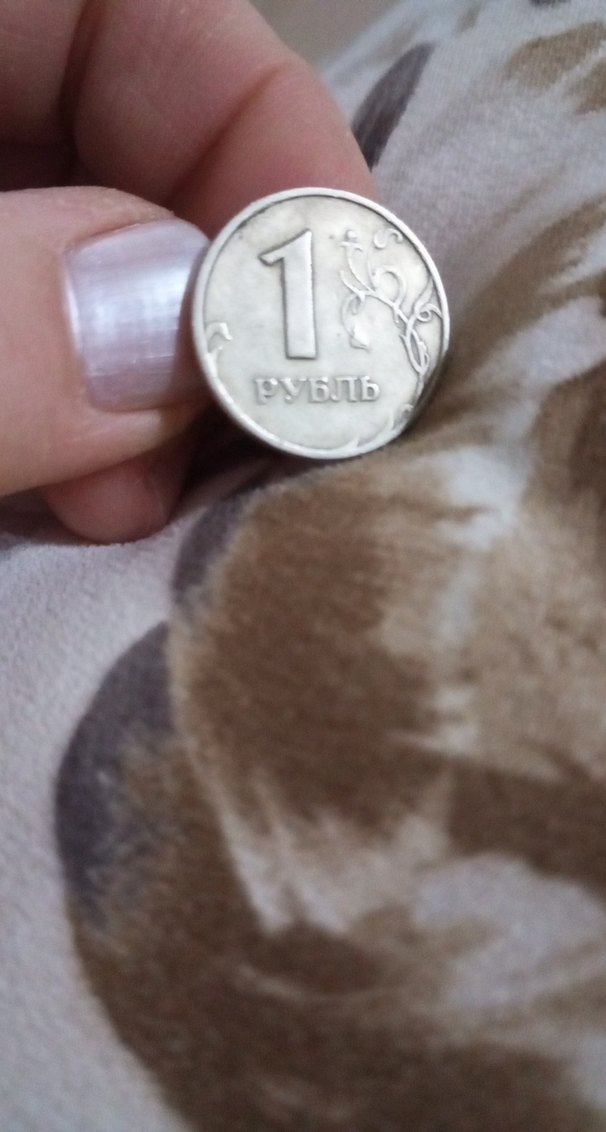 Erkek rozet - Görsel 5