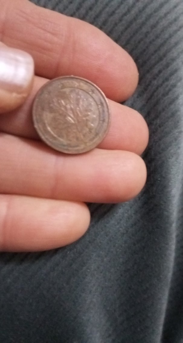 Erkek rozet - Görsel 2