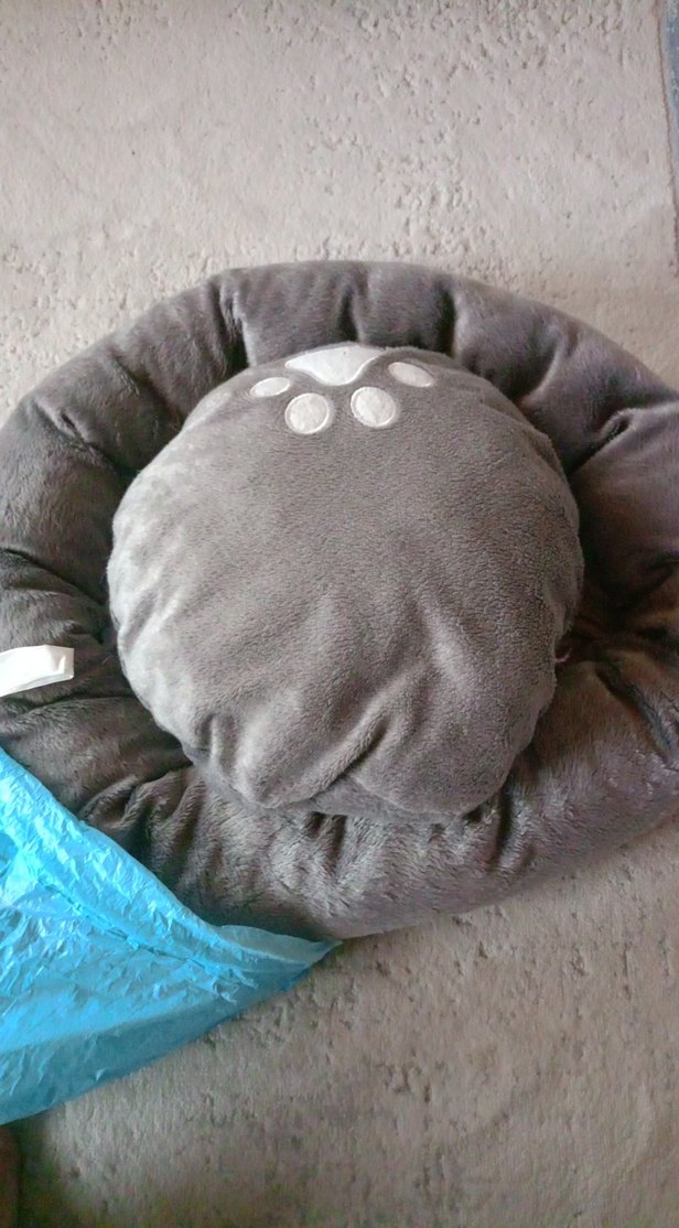 Gri Kediler için Yumuşak Yuvarlak Yatak - Görsel 2