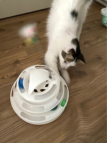 KEDİ OYUNCAĞI