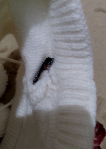 Beyaz Örgü Kadın Bere - Görsel 2