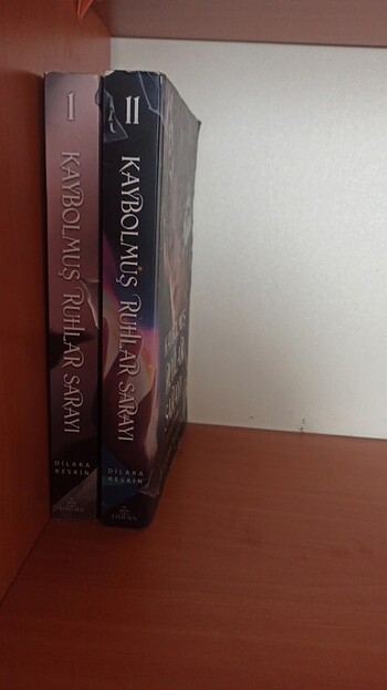 Kaybolmuş ruhlar sarayı kitap