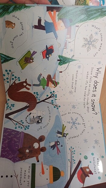  Beden Usborne İngilizce board book