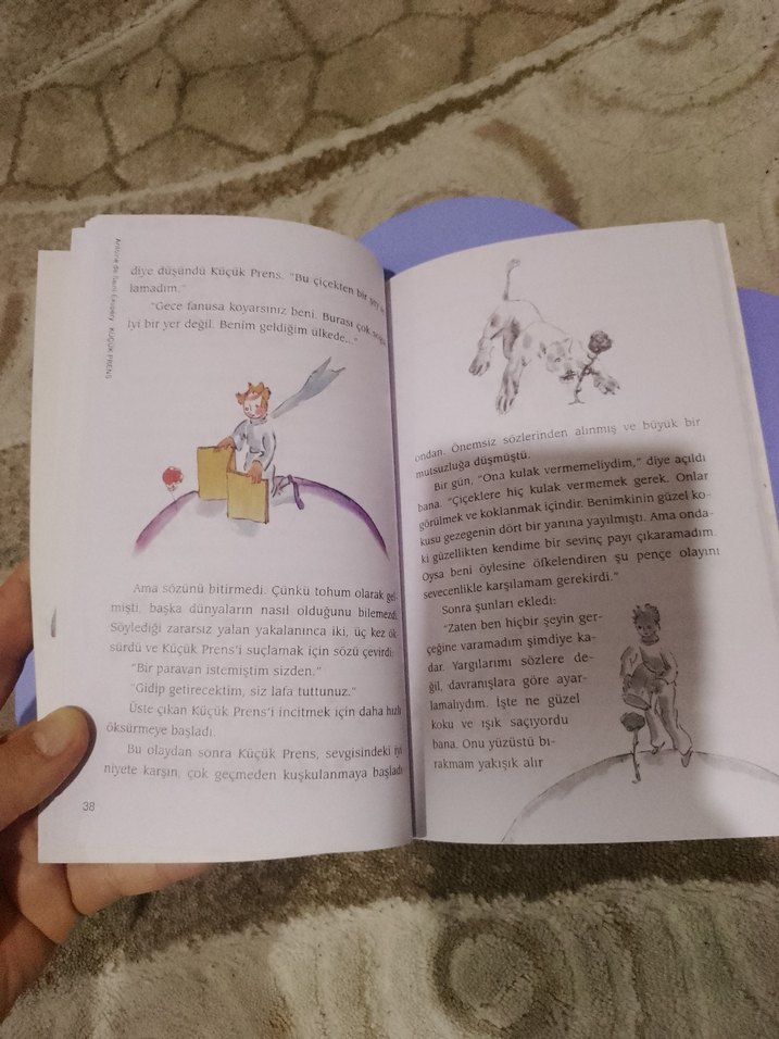 Küçük Prens - Cemal Süreya & Tomris Uyar Çevirisi - Görsel 5