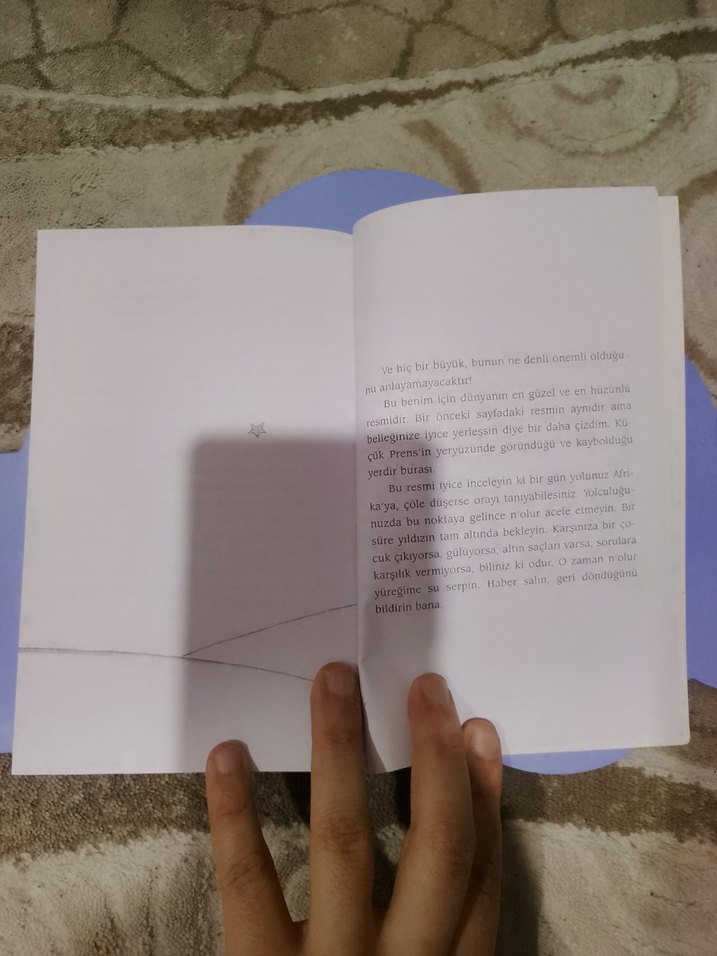 Küçük Prens - Cemal Süreya & Tomris Uyar Çevirisi - Görsel 4