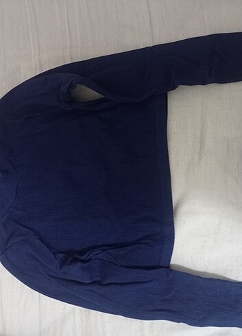 Addax Body crop