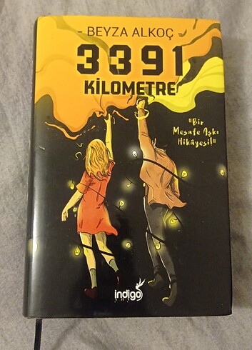 3391 Kilometrelik 