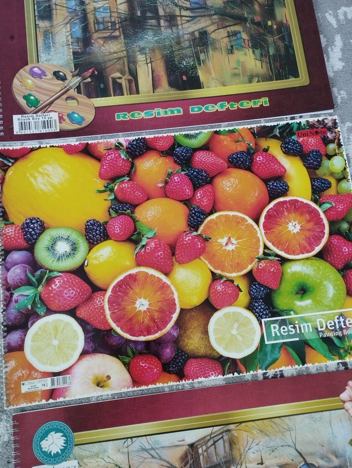 Büyük boy resim defteri - Görsel 4