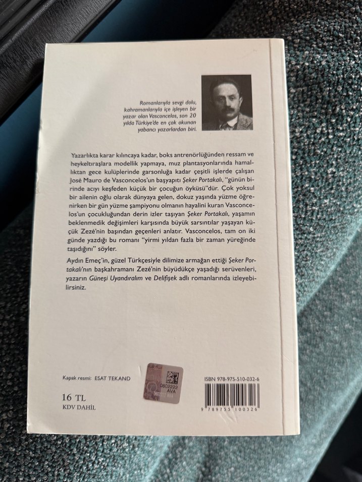 Şeker Portakalı - José Mauro de Vasconcelos - Görsel 2